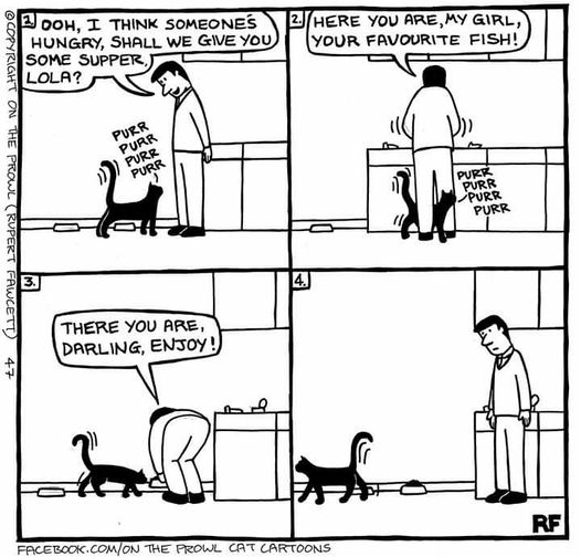 KittyDinner.jpg.17874e5eb20f019f05c4ac5963bfd710.jpg