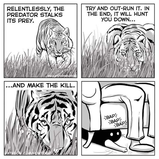 KittyKill.jpg.8c330c9e7ab52f9d2e07a3aa0229567c.jpg
