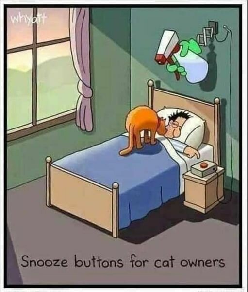 KittySnoozeButton.jpg.a658984be7390104372fe78be524243a.jpg