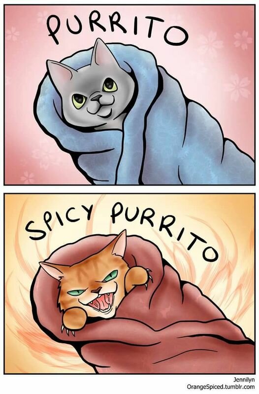 PurritoSpicyPurrito.jpg.2f9f6aa057e0a7db03a3267cac5215de.jpg