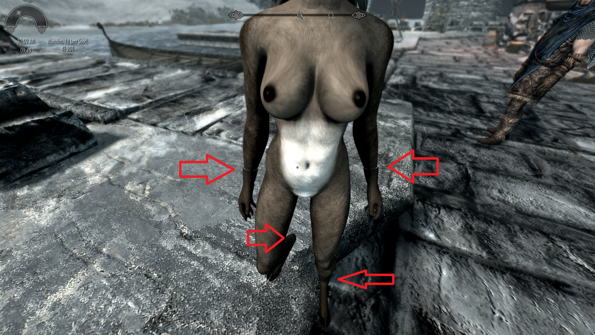 SS4.png