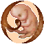 SettingsHC.png