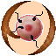 SettingsLTC.png