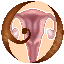 SettingsTC.png