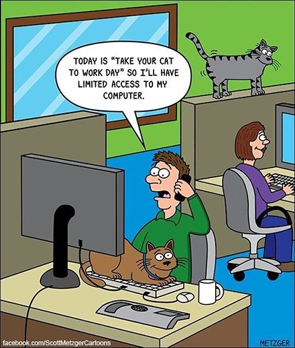 TakeYourCatToWorkDay.jpg.2d9473a42d17f634d700d5796362687f.jpg