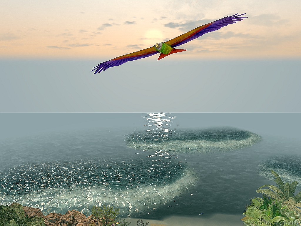 bird_in_the_sky_01.jpg.882fb25628a9445d3a9069d32ef62deb.jpg