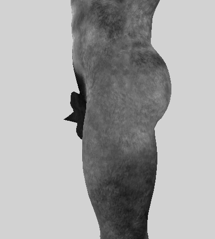 image.png.f6eeef1cc69143abbc2b68f9b5af66d5.png