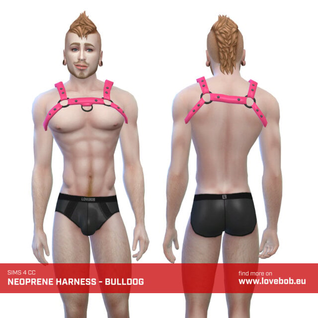 neoprene_m_harness_bulldog.jpg.dff4ea6a2550bbcc45e8d18d967c3397.jpg