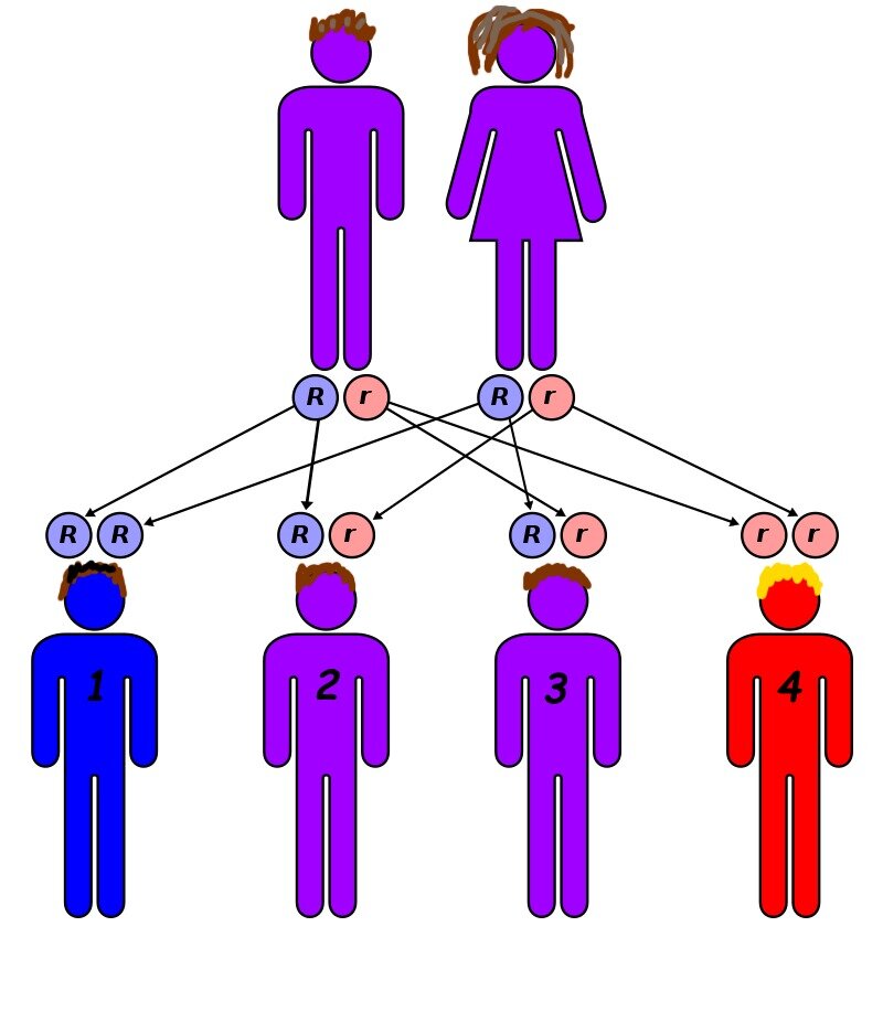 0_QDnITjJ1nTPge5yt.jpg.29f9738ce3773a4048828ec86dcf90f2.jpg