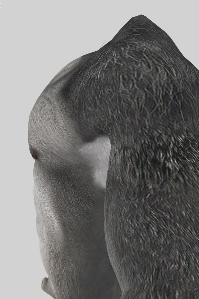 1556046189_CaninePecs.png.1e439ebb1d54134637c396cdd5d5e014.png