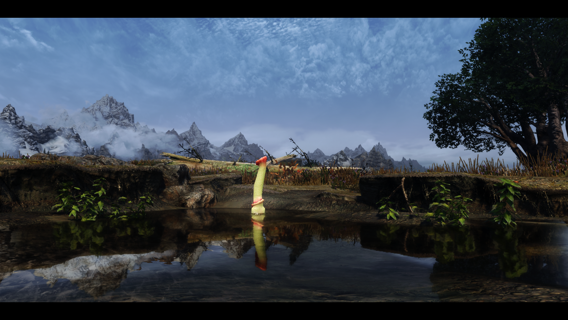 1825932446_TheElderScrollsVSkyrimSpecialEditionScreenshot2021_07.09-07_39_26_58.png.7b7d1b8d584d02218fafe2fe9e19fc76.png