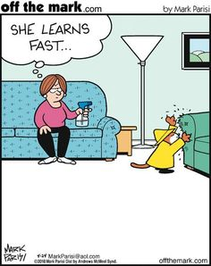 CatFastLearner.png.3c5280b51a4c128ecdd0dc515cf88099.png