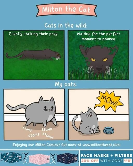 KittyFoodTime.jpg.3d290d4cd465b2cb9c15210eeb385ef1.jpg
