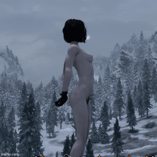 RiftenGuardArmor0.gif.d0292a13734f4cd8cb63be6317573f5d.gif