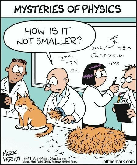 SmallerKitty.png.7cc317c2efd4654014dd51cbfeb7175a.png