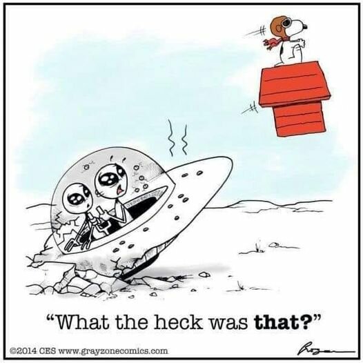 Snoopy.jpg.f365c2870eb851c0f303c7ec6afb42d6.jpg