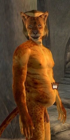 Tri2.jpg