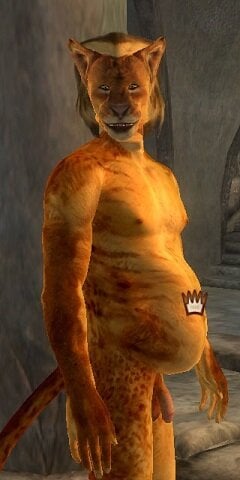 Tri3.jpg