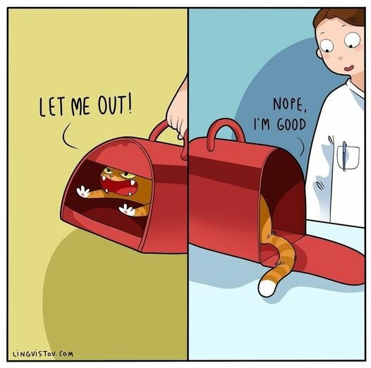VetVisit.jpg.94798332bac88a9b7d12da8eaec9bfe6.jpg