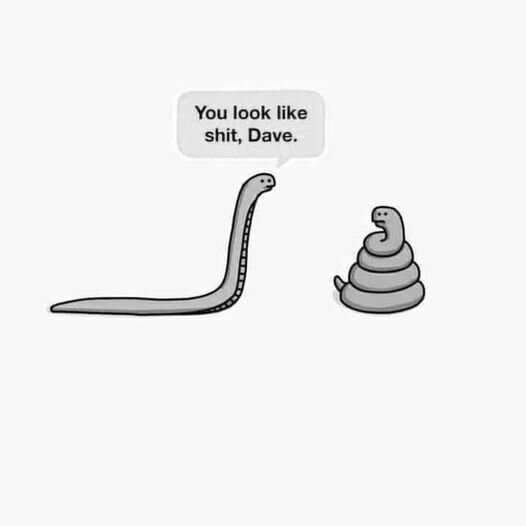 YouLookLikeShitDave.jpg.9a01bda6a8bf67c29aa42510a9366e96.jpg