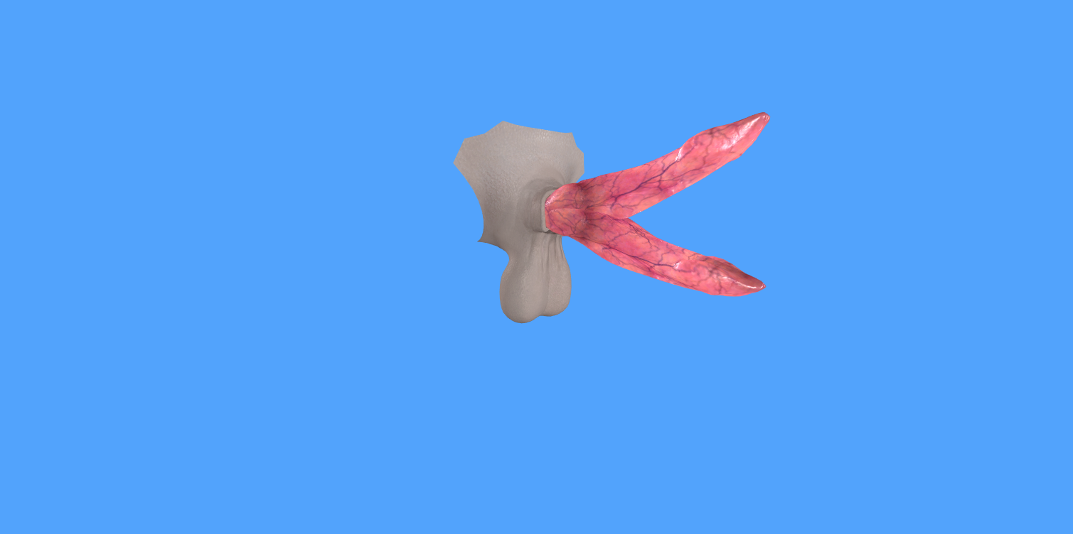 dbl.png.27aa40ba7fbd7bed96d38aa22c8e34ad.png