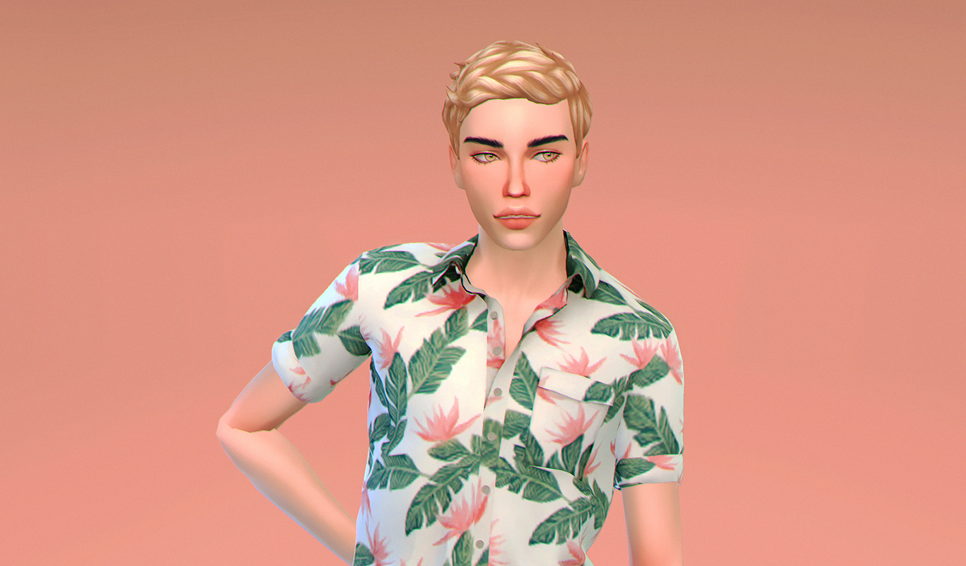dimitry1.png.5b53c55bd8316ba00f2c8dd027f2aeeb.png