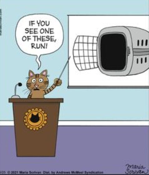 CatCarrier.jpg.b3eff296727f708a5f3082f65b4aa5a8.jpg