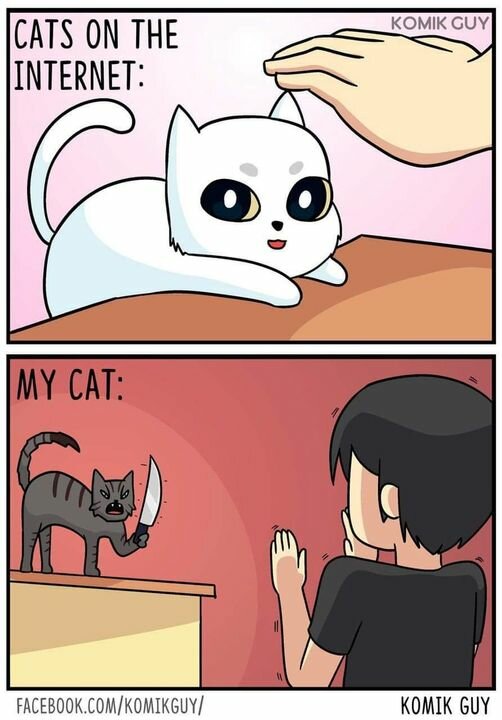 CatsInternetvsReallife.jpg.4da4aea4a22014d4e430adde9a59044e.jpg