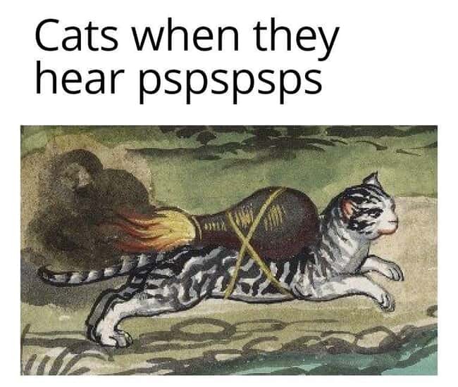 CatsWhenTheyHearPspspspsps.jpg.b3a68d8e77ef0b8179ffa0db38229d98.jpg
