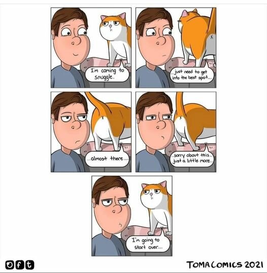 KittyButt.jpg.5b80b3a9b069322858245097e69f8759.jpg