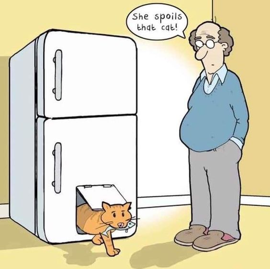 KittyDoor.png.15ec33327b550f396758f9785fac8bf7.png