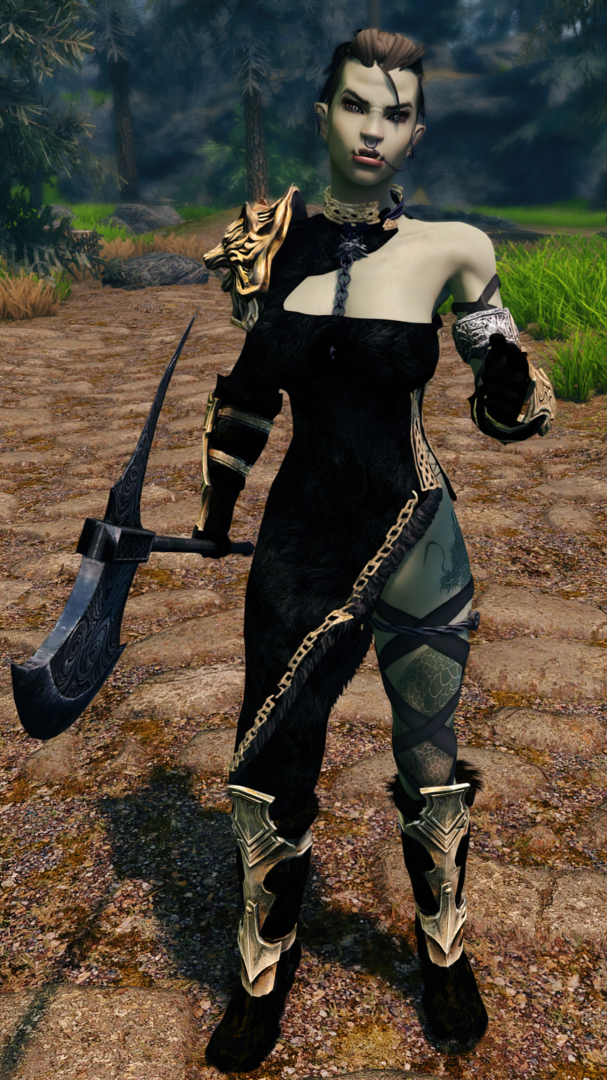 Skyrim7093.thumb.png.011d4755b40a19aa77dd926836626205.png