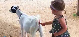1306101970_2021-10-2516_52_19-YouTubeMozillaFirefox.png.a786be19397f2f5a6b7ca944ea1fe0f7.png
