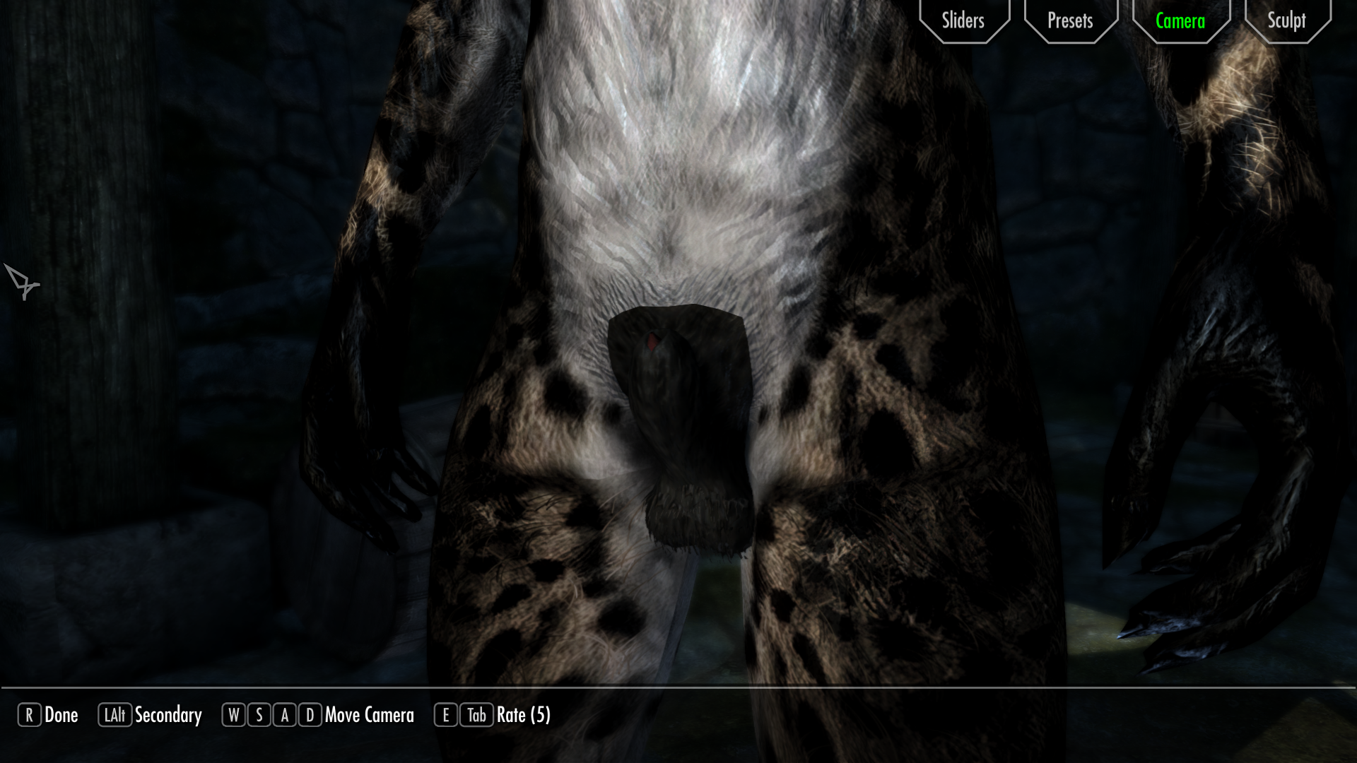218449214_SkyrimSpecialEdition10_18_20212_04_43PM.png.bcb8621057b29e3d8bc17fd3a191a371.png