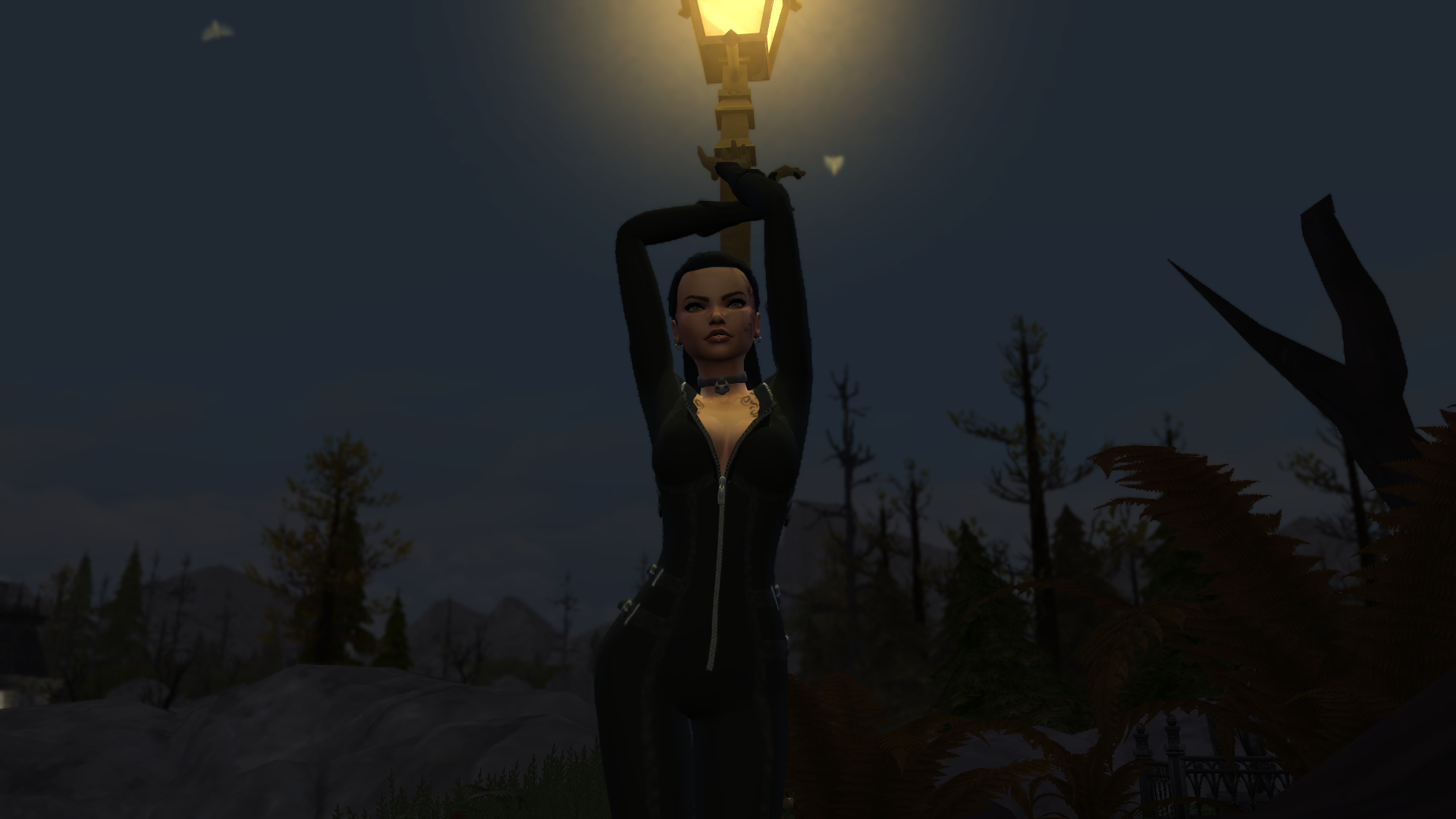 30.png.7cf140cbd06d96600d80da8bf3f5c7ba.png
