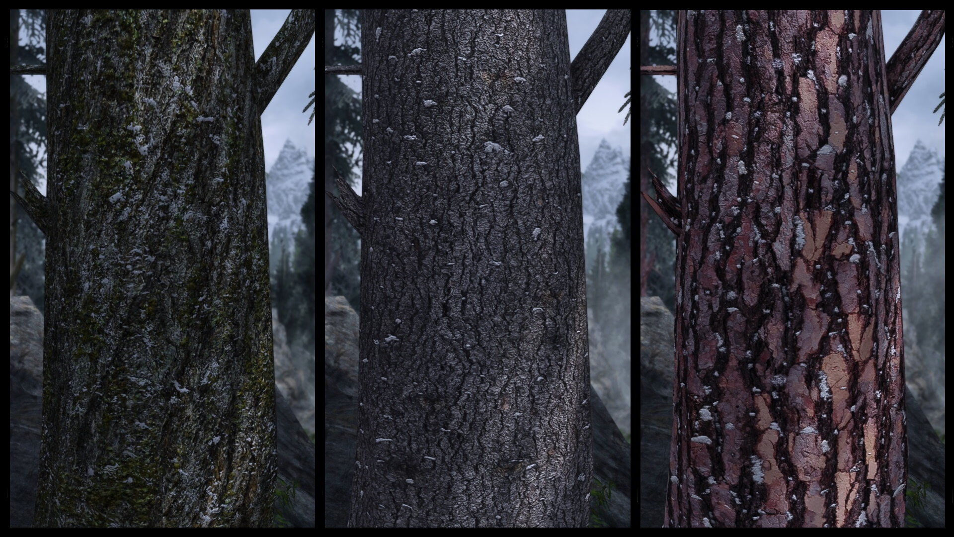 Bark.jpg.4f39fa23b39cab5446cfb4d5b2a66c8c.jpg