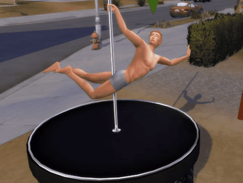 StripPoleMale_1.gif