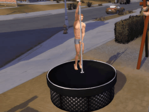 StripPoleMale_2.gif