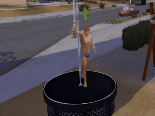StripPoleMale_3.gif