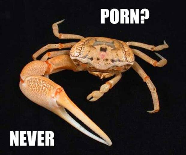 external-content.duckduckgo_com.jpg.fd3eaae6561ed72151c5e5dc302bd360.jpg