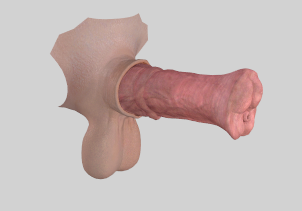 image.png.42604bcf73d1e0e119ba1d07cdb5fa8a.png