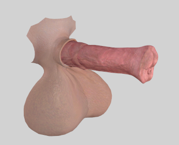 image.png.701f69e4e12cdb1b3a6bcda53eadef14.png
