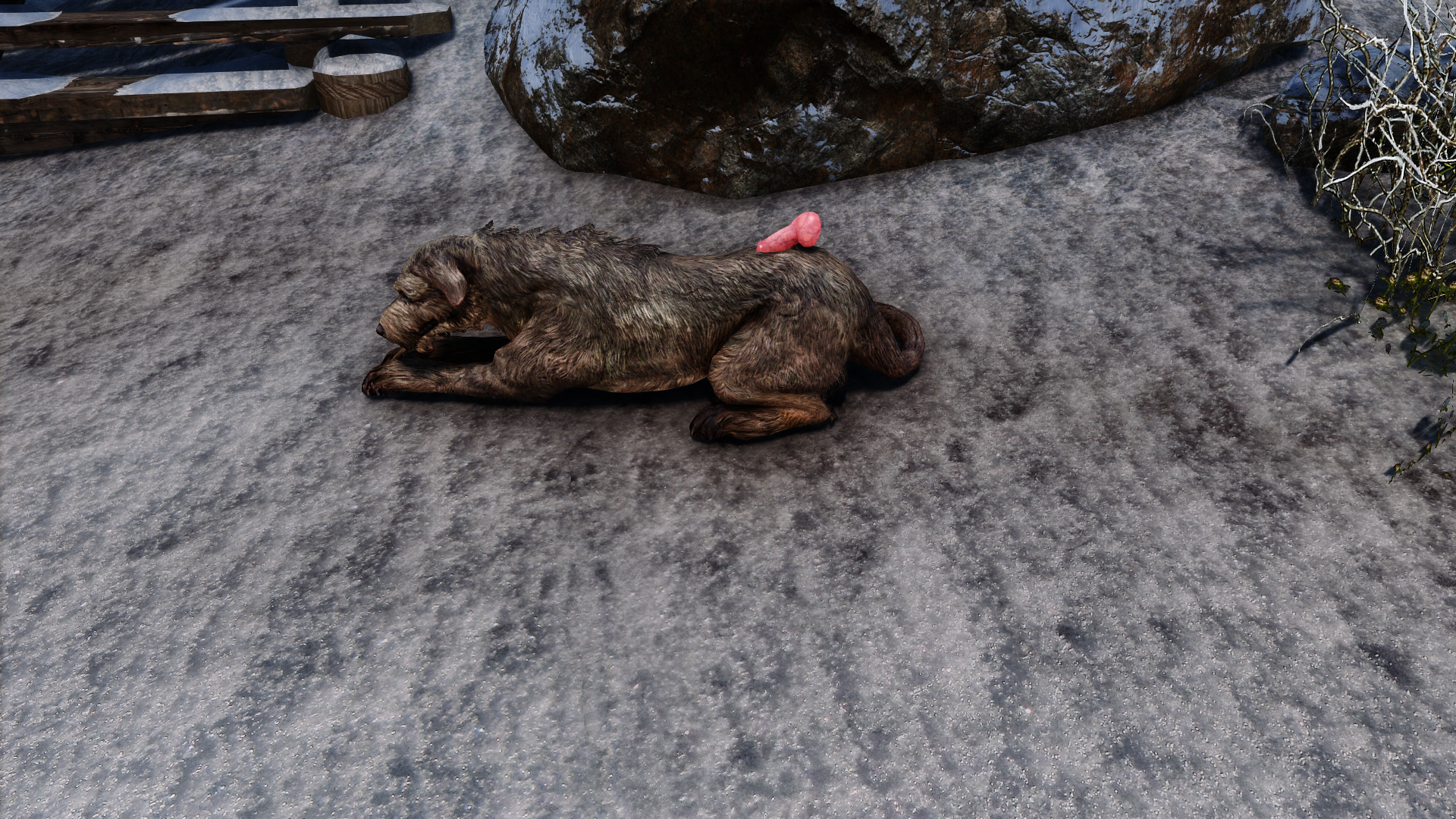 1564351443_TheElderScrollsVSkyrimSpecialEditionScreenshot2021_11.01-22_48_23_27.png.a5cfffef0f518c3c18fe9cc414ae65f6.png