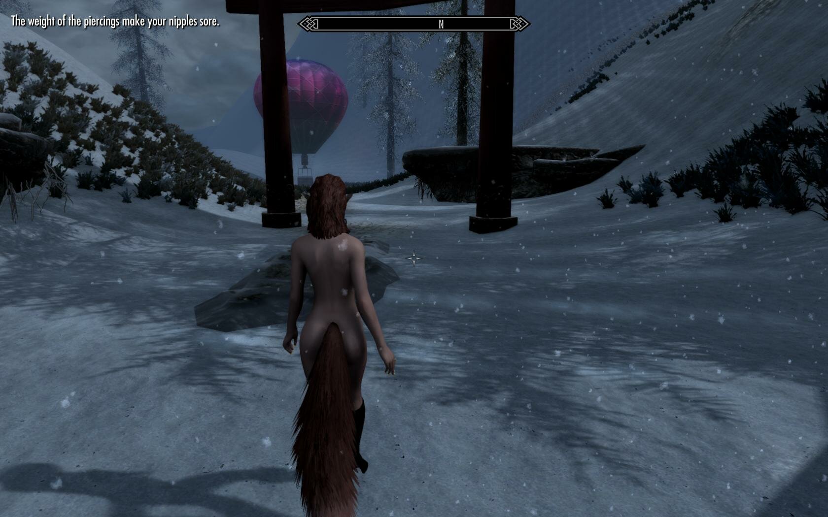 1991182206_SkyrimSE2021-11-0417-19-03-03.jpg.571d3e01c2e21a80955ceec23cd5f236.jpg