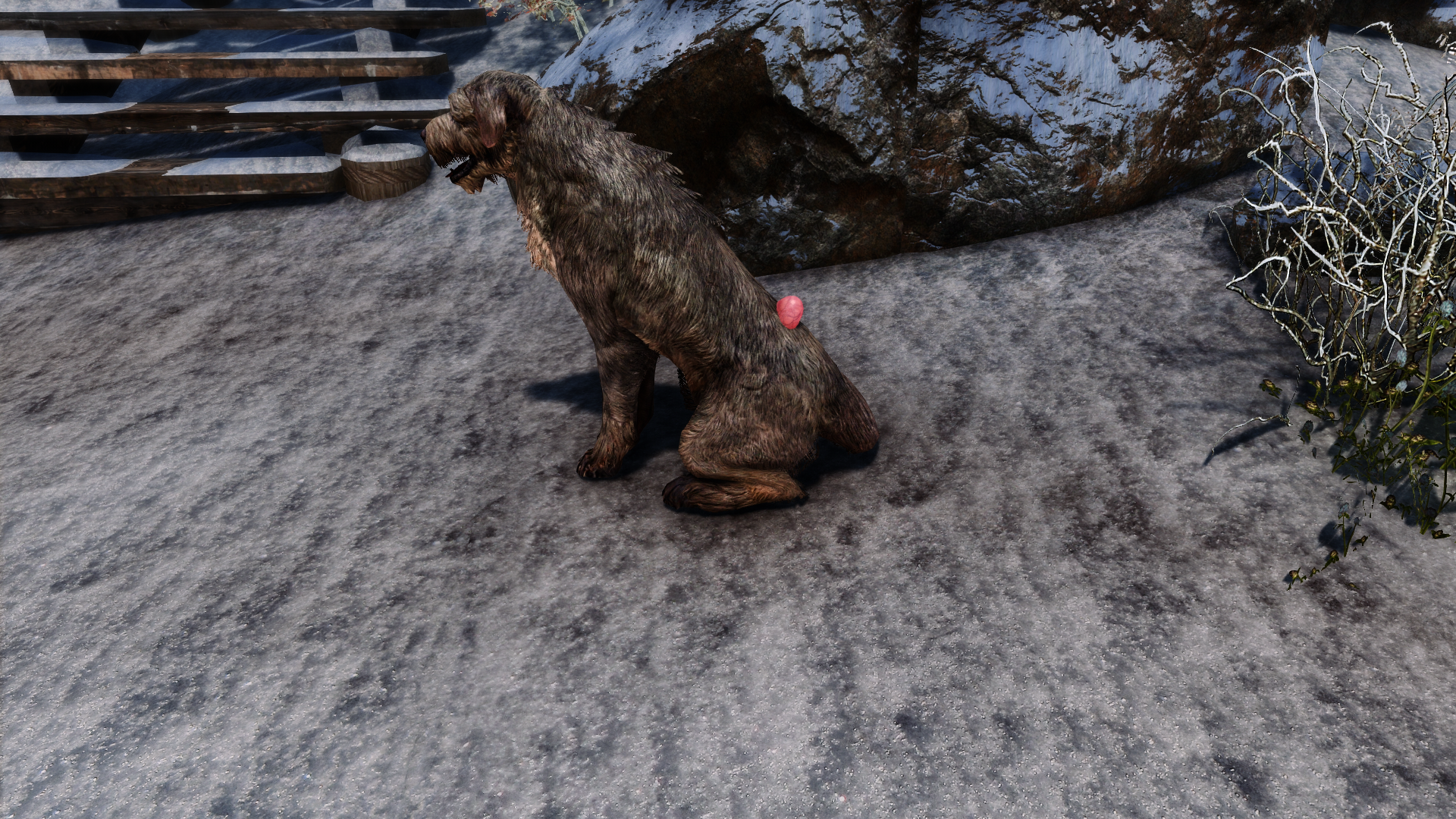 2045615694_TheElderScrollsVSkyrimSpecialEditionScreenshot2021_11.01-22_47_56_95.png.da28ca8ac7f666c89ea4b090119d10c5.png
