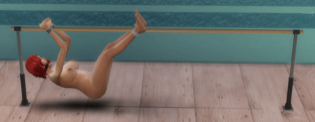 2145677166_loweringthebarreP_1andP_2.gif.a463b733987791b045d21f97f3e67f61.gif