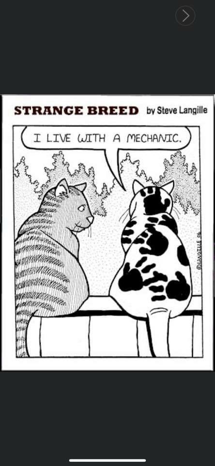 914769728_MechanicsCat.jpg.539912379f5a5fc23d774a95fcedfe29.jpg
