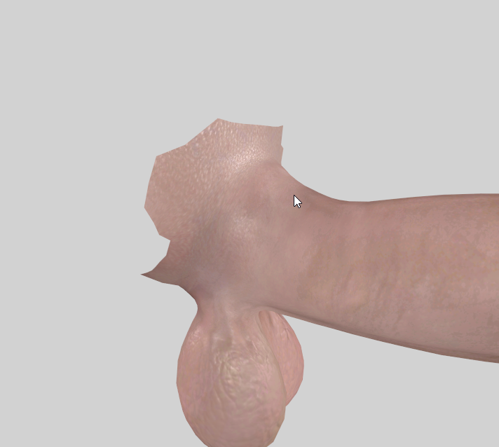 BodySlide_x64_vL2TJm2WmX.png.d9de16f410b6588af37153348193f6e0.png