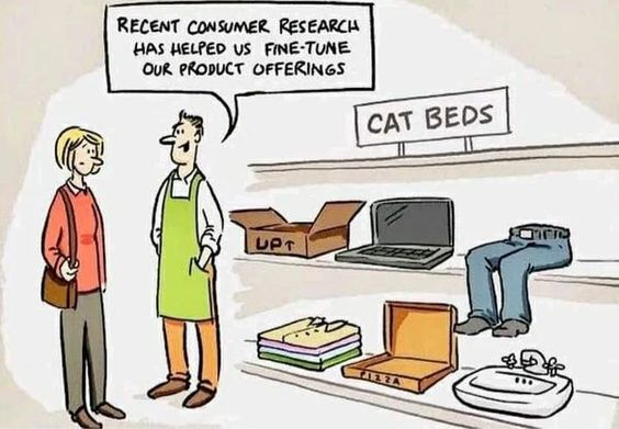 CatBeds.png.fdb86e36f9b9622394f401e7bace755d.png