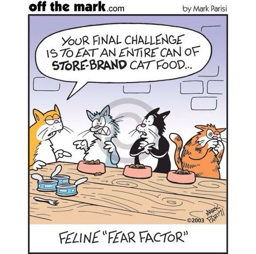 CatFoodStoreBrand.png.218418f24e5977deff35f5a92a593df5.png